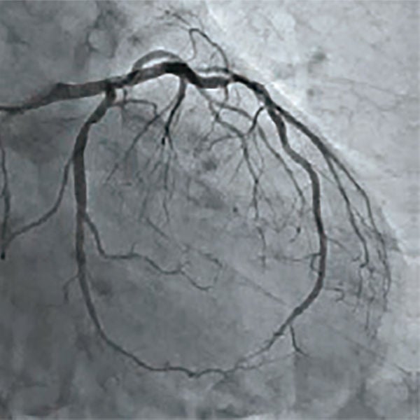 Outstanding imaging applications