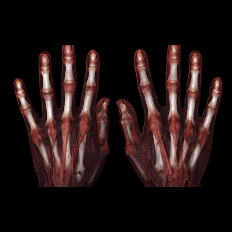 Global Illumination Hand